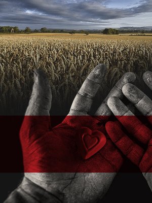 Власть. Остановить сердце человека по поручению