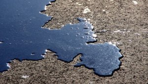 Ущерб природе от нефтепродуктов за год вырос в пять раз