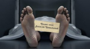 Бобик сдох – что известно о политической смерти Навального