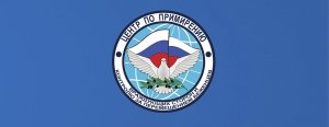 Оружие США используется в Сирии против мирных граждан и турецких военных - российские военные