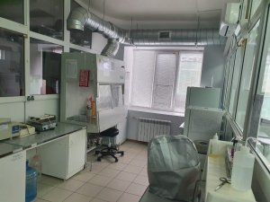 В Нижнем Новгороде откроют первый в России ветеринарный центр, где будут спасать отравившихся животных