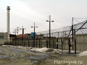 В Госдуму внесен проект амнистии к 75-летию Победы: кто может под нее попасть