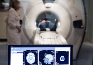 Российские ученые разработали нейросервис для роста интеллекта человека