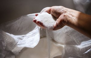 "Ведомости" узнали об угрозе закрытия нескольких сахарных заводов в России