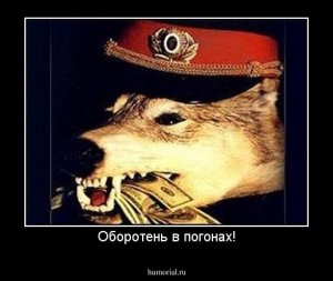 Заказал убийство сослуживца? Подробности «службы» в Чечне журналиста «Новой газеты» Короткова