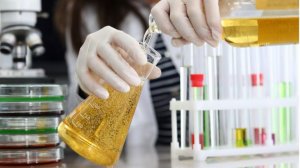 Пивоварня в мочевом пузыре. Медики обнаружили женщину, писающую алкоголем