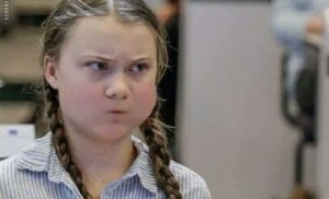 Грета Тунберг предложила китайцам отказаться от многовековых традиций