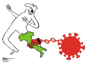 Спроектированный вирус летучей мыши вызывает дебаты по поводу рискованного исследования
