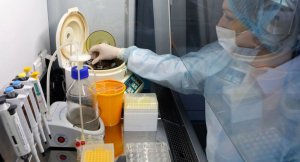 В США провели первые испытания вакцины от коронавируса