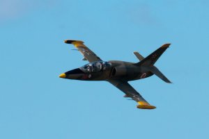 Отказ техники мог стать причиной катастрофы самолёта Л-39 в Краснодарском крае - Минобороны