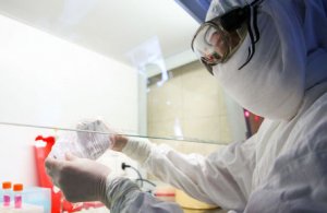 Тестирование на коронавирус: опыт России и   других стран