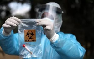 Правительство определило наиболее пострадавшие от коронавируса отрасли