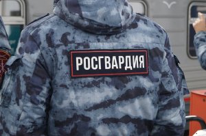 Пьяный росгвардеец протаранил две машины и показал половой орган