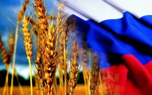 Вторая нефть? Российская пшеница может стать самым ходовым товаром, а собирать её с полей будут тракторы-беспилотники