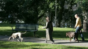 [«das Kind mit dem Bade ausschütten»*] Особый путь Швеции? Единственная страна, пустившая эпидемию на самотёк, надеется на «живучее общество»