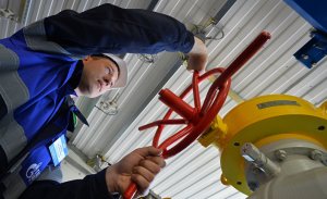 Biznes Alert (Польша): только Путин может приказать Газпрому ослушаться решения Стокгольмского арбитража