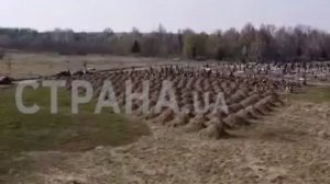 Готов к COVID-19: Борис "вешать будем потом" Филатов заказал 600 могил для будущих жертв эпидемии в Днепропетровске