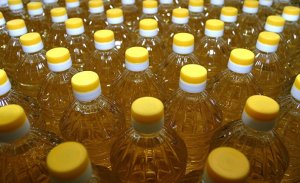 E15: теперь уже Россия думает об экспорте своей сельхозпродукции