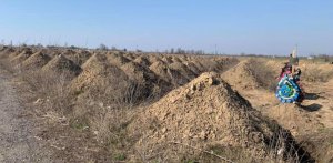 Для китайцев строили больницы, а для украинцев роют ямы