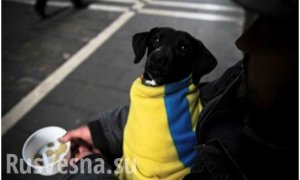 Хуже, чем смерть от коронавируса: аналитики назвали главную опасность для украинцев