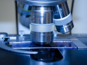 Врач оценил исследования немецких коллег: коронавирус не живет на поверхностях  (Новые исследования вирусологов подтверждают, что заразиться COVID-19 не так-то легко)