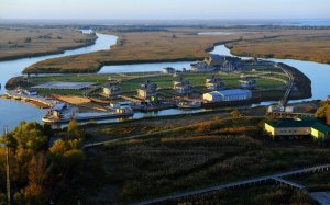 У Дмитрия Медведева нашли остров на Волге с девятью домами за два миллиарда рублей