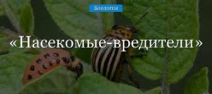 Почти 30 медицинских учреждений Москвы «минировали» в среду. Людей эвакуировали из детского медцентра и ведомственного госпиталя. На улицу пришлось вывести более 350 человек