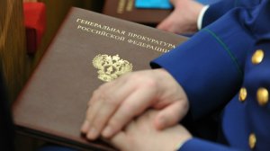 Американскую НПО признали нежелательной в России
