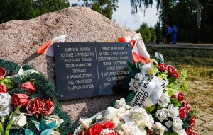 Эксперты из Польши согласились с РФ насчет отсутствия взрывчатки на самолете Качиньского