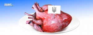 Тимошенко анонсировала расцвет в стране рынка торговли людскими органами