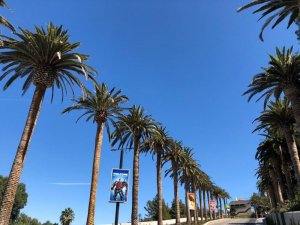 "Бегают огромные крысы". Что шокировало россиянок в США