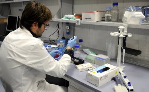 Первый испытатель вакцины от COVID-19 сообщила о перенесенных ощущениях