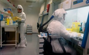 Ученые: Коронавирус может выжить при нагреве до 60 градусов Цельсия