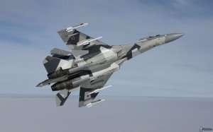 В Сирии в воздух поднимался Су-35 из-за приближения военного самолета США к российским объектам - Минобороны РФ