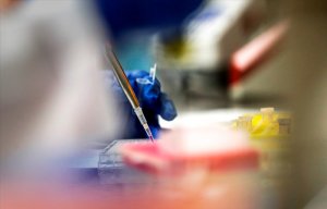 Каждая десятая перспективная разработка вакцины от COVID-19 в мире оказалась российской