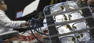 Живой компьютер? Ученые создали биокомпьютер, состоящий из живых клеток человека