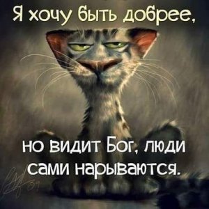 Про отдельные сообщества и ньюсхантеров