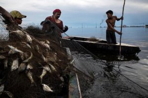 Как рыбаки случайно выловили аппаратуру ВМС США