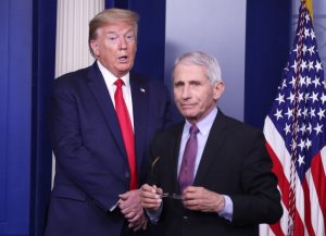 Природный вирус: в США опровергли теорию Трампа   (Главный инфекционист США опроверг искусственное происхождение COVID-19)