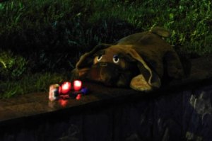 На центральной площади Рыбинска полицейский застрелил собаку: инцидент попал на видео  В МВД оправдали своего сотрудника