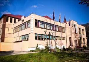 В элитной московской «Лингвистической школе» сэкономили на учителях