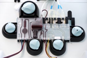 Ученые опровергли эффективность переливания плазмы для лечения COVID-19