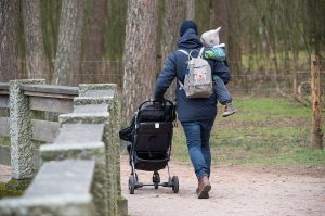 В российском интернете появились десятки мошеннических сайтов для оформления выплат на детей