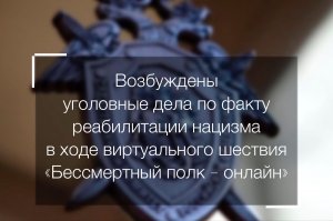 Возбуждены уголовные дела по факту реабилитации нацизма в ходе виртуального шествия «Бессмертный полк - онлайн»