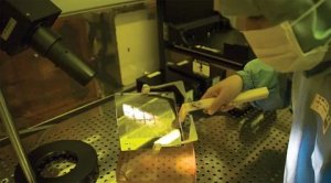 TSMC резко передумала и всё же запустит завод полупроводников на территории США