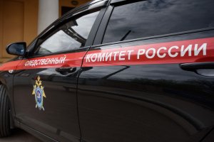[Илья Ремесло, расследование]   Как активисты Навального атаковали “Бессмертный полк”