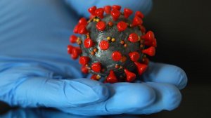 Ученые доказали возможность искусственно вывести любой вирус