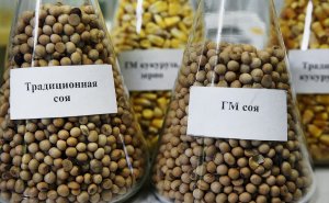 Минсельхоз отказался запретить ввоз ГМО-продукции в Россию