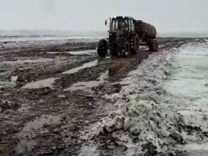 В Кировской области сельхозпредприятию грозят крупные штрафы за загрязнение водного объекта отходами животноводства