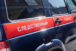В Нижегородской области по факту обнаружения в лесу под Дзержинском коробок с вакцинами от гриппа возбуждено уголовное дело